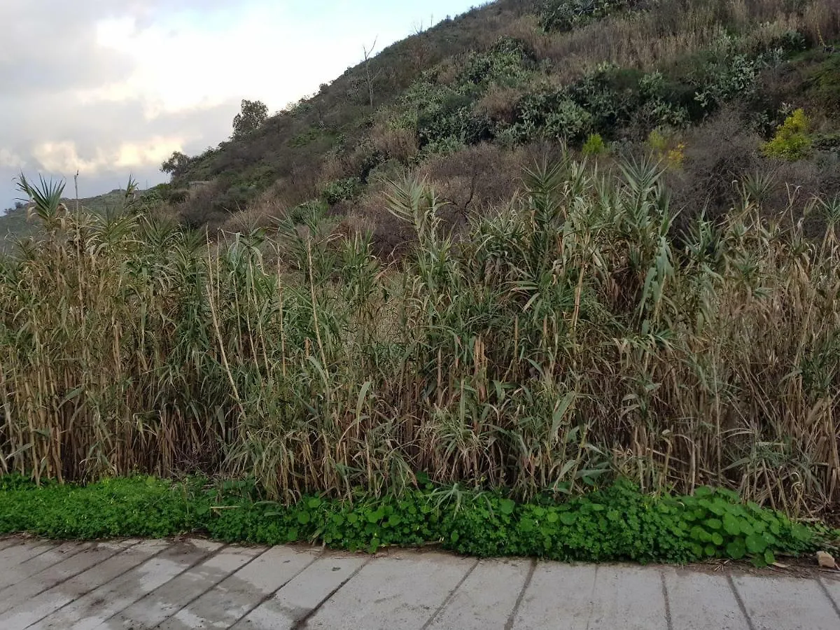 Сasa de vacaciones Casas Pinito Villa Vega de San Mateo España