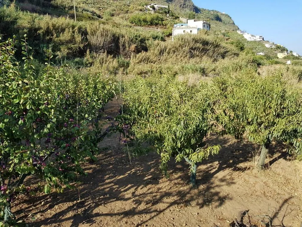 Сasa de vacaciones Casas Pinito Villa Vega de San Mateo